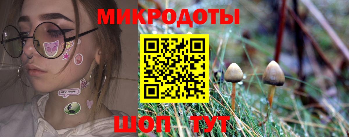 Псилоцибиновые грибы Cubensis  где найти наркотики  Назрань  Вход с VPN 